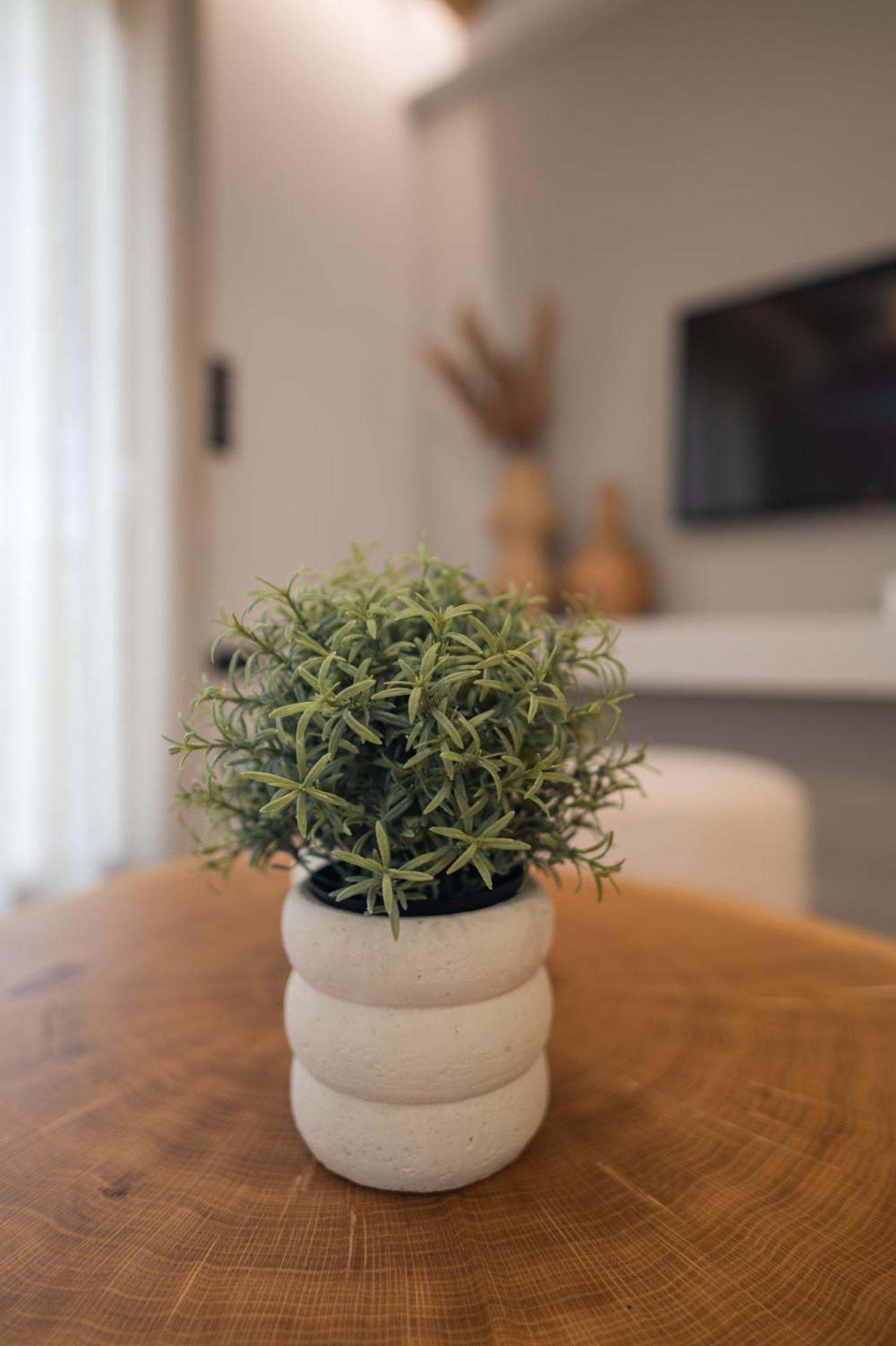 וולוס Palaia Luxury Suite מראה חיצוני תמונה